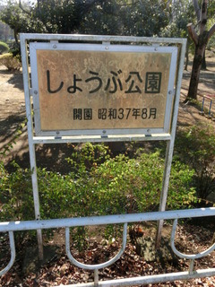 CIMG7458