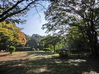 CIMG0526