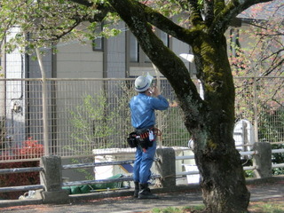 CIMG0781