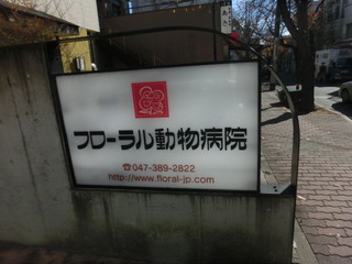 CIMG6933