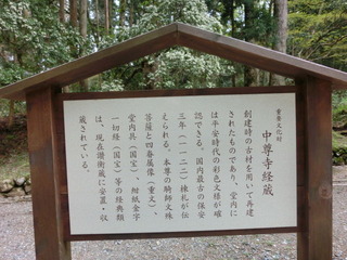CIMG1330