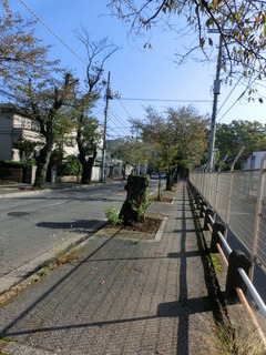 CIMG0513