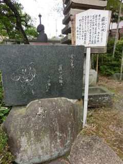CIMG2481