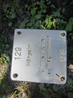 CIMG1337