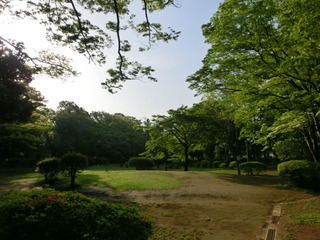 CIMG6562