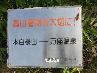 CIMG4785