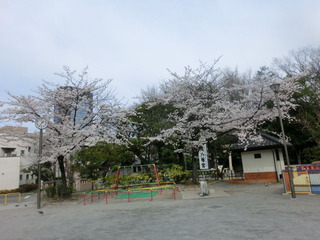 CIMG0270
