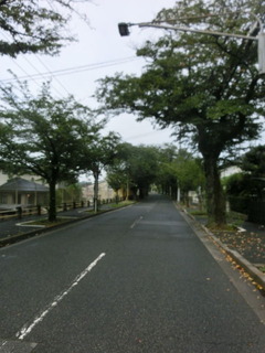 CIMG0048