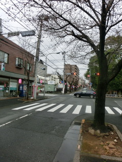 CIMG0432