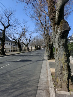 CIMG0028
