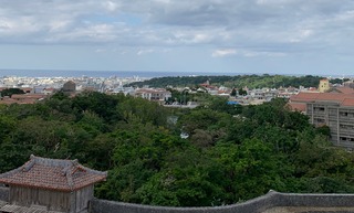 IMG_0771