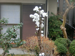 CIMG0318