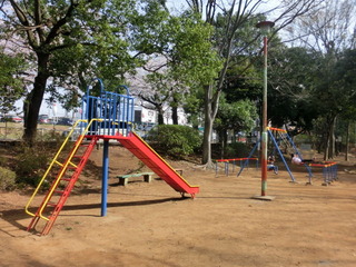 CIMG8591