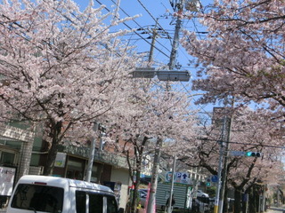 CIMG9048