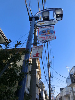 CIMG7550