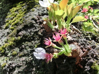 CIMG0674