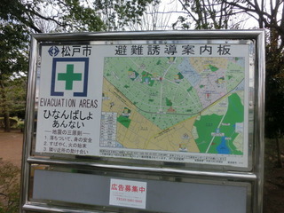 CIMG6130