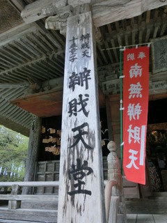 CIMG1355