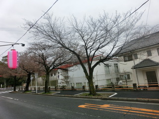 CIMG0448