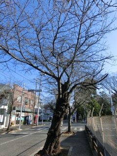 CIMG0735
