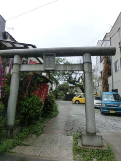 CIMG6607