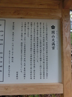 CIMG1337