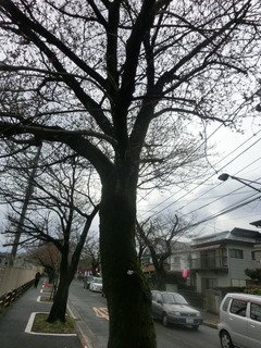 CIMG0437