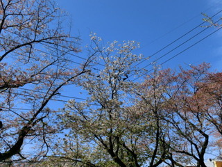 CIMG0679