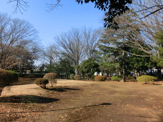 CIMG7453