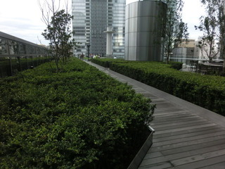 CIMG5221