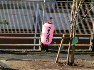 CIMG1284