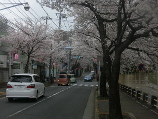 CIMG0309