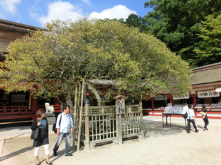 CIMG0483