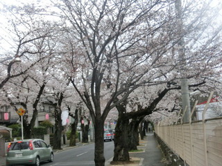 CIMG0242