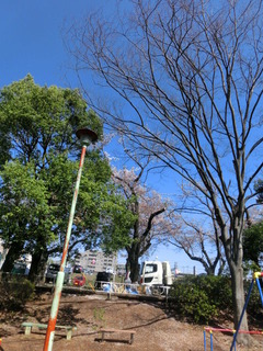 CIMG8686