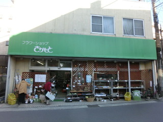CIMG7260