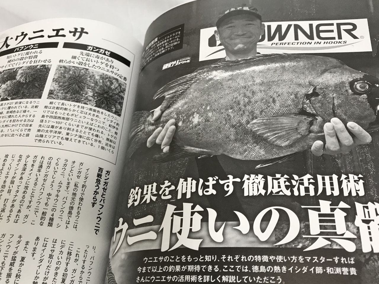 激釣り石鯛その3 フィッシング ブレーン ブログ