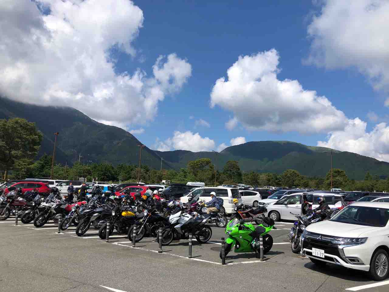 大渋滞 富士花鳥園 日誌 大渋滞 富士花鳥園 日誌