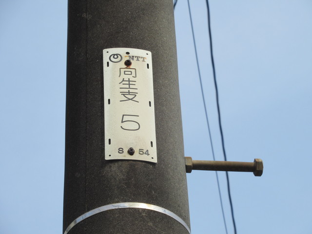 向生