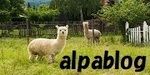 alpaca-2907771__480-thumbnail2