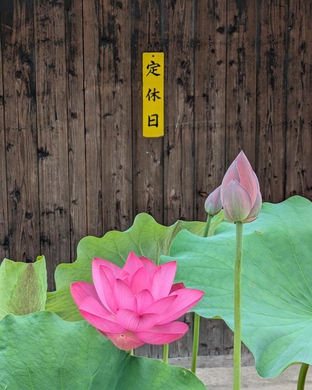 480699636_611840128471644_536344239350160328_n