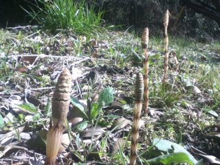 546255_278664958879443_100002078237713_616287_1743561688_n