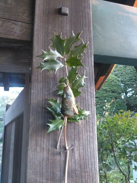 1653803_750906025029485_6614230612640438889_n