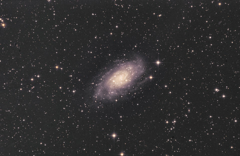 NGC2403_八方ヶ原大間々台_2021.11.10-3_1-2.