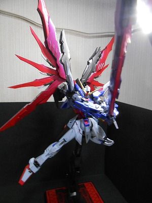 DSCN3585.jpg