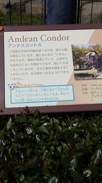 2013042814150001.jpg