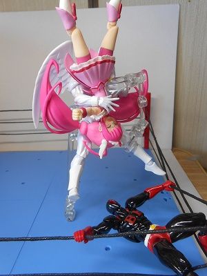 DSCN8690.jpg