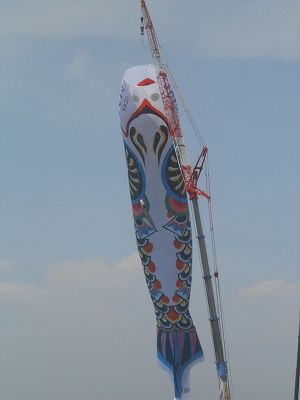 DSCN9396