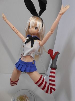 DSCN6110.jpg
