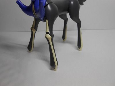 DSCN3408.jpg